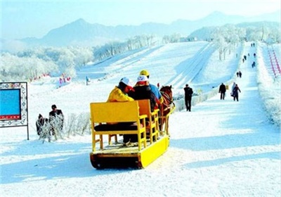 西岭雪山一日游，离成都最近的滑雪、滑草纳凉之地，成都出发