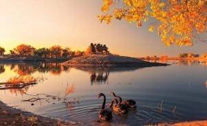 银川+额济纳旗10日游