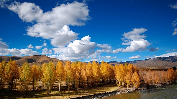 韩中友好协会会长朴三求到访文化和旅游部