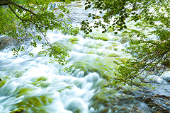 老外点赞九寨沟黄龙美景