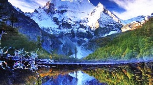 选择成都旅行社跟团旅游的好处有哪些？